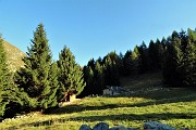 Anello dei MONTI ARETE (2227 m) e VALEGINO (2415 m) da Cambrembo di Valleve il 14 ottobre 2018 - FOTOGALLERY